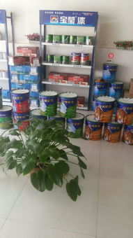 寶瑩漆 專(zhuān)業(yè)涂料加盟與招商代理的明智之選